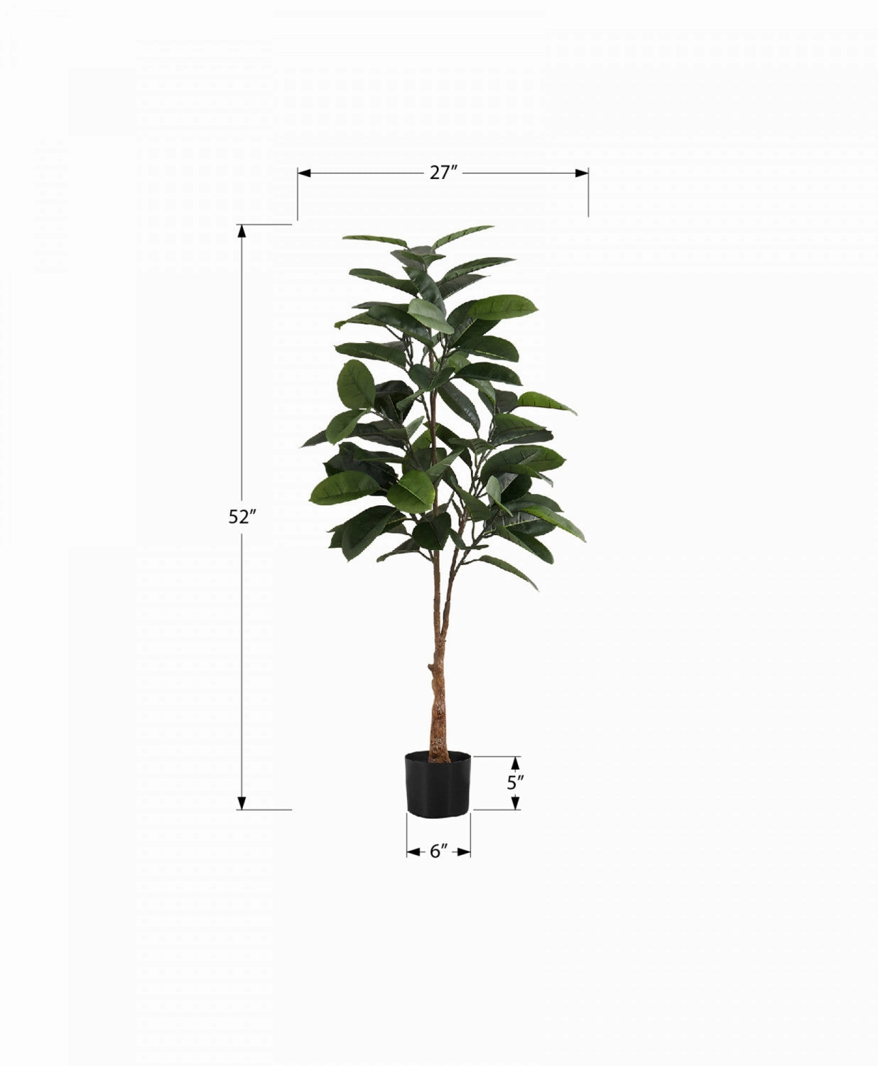 52" Rubber Tree With 5" Black Pot - Green