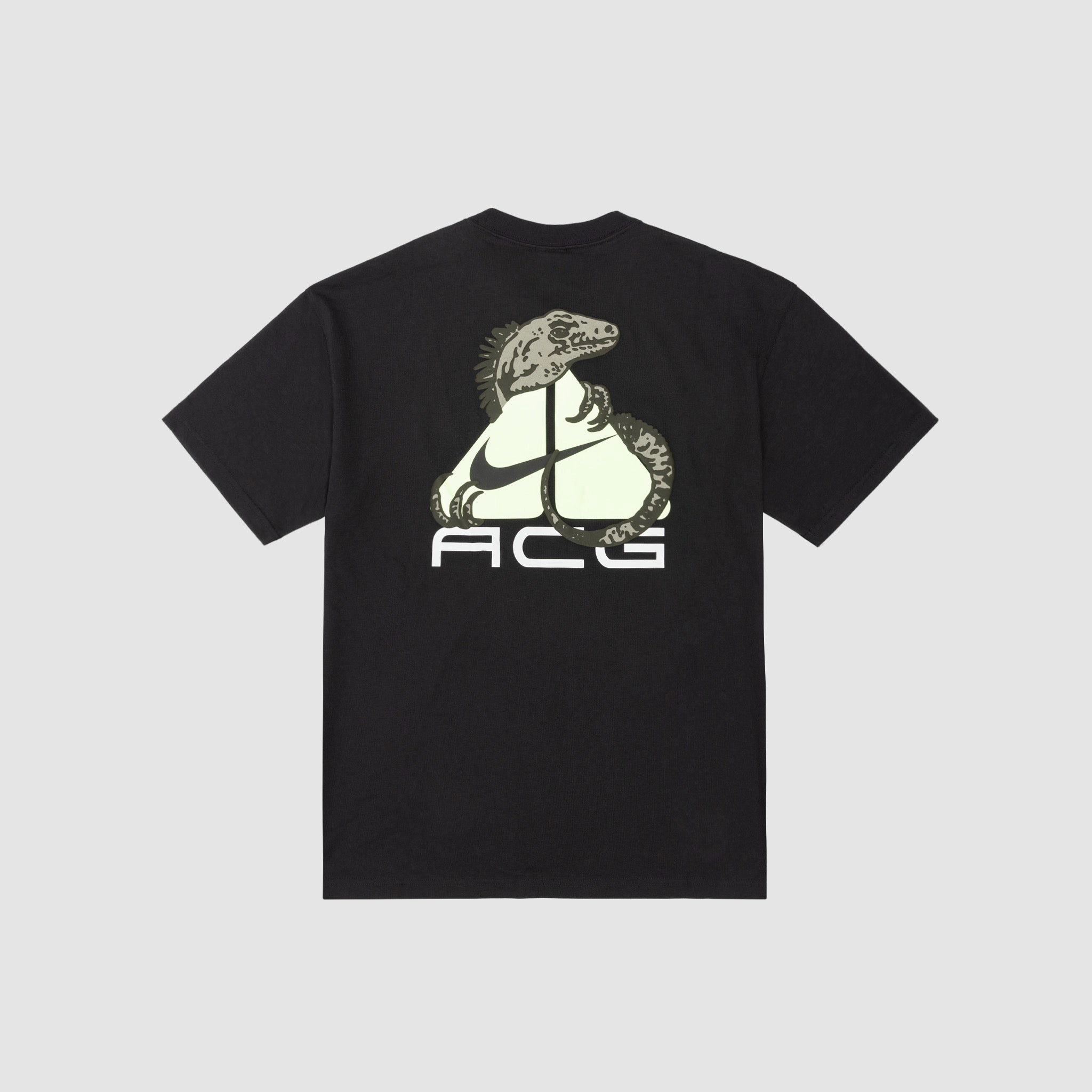 ACG ALL CONDITIONS GEAR S/S T-SHIRT