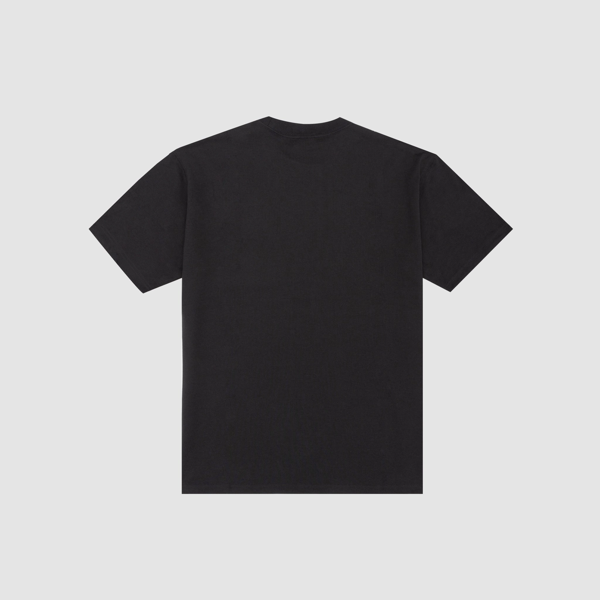 ACG IGUANA VEST S/S T-SHIRT